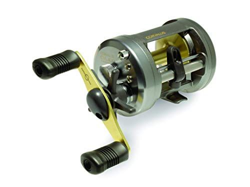 Shimano Corvalus Baitcasting Reel