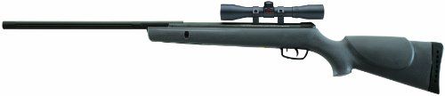 Gamo Hornet Air Rifle