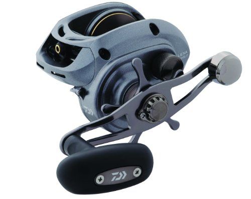 Daiwa LEXA 300 HS-P Baitcast Reel