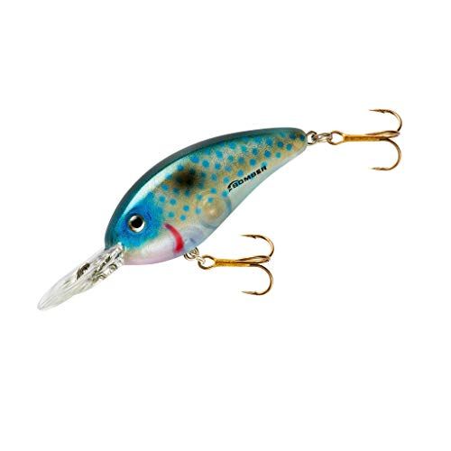 Bomber Shad Crankbait