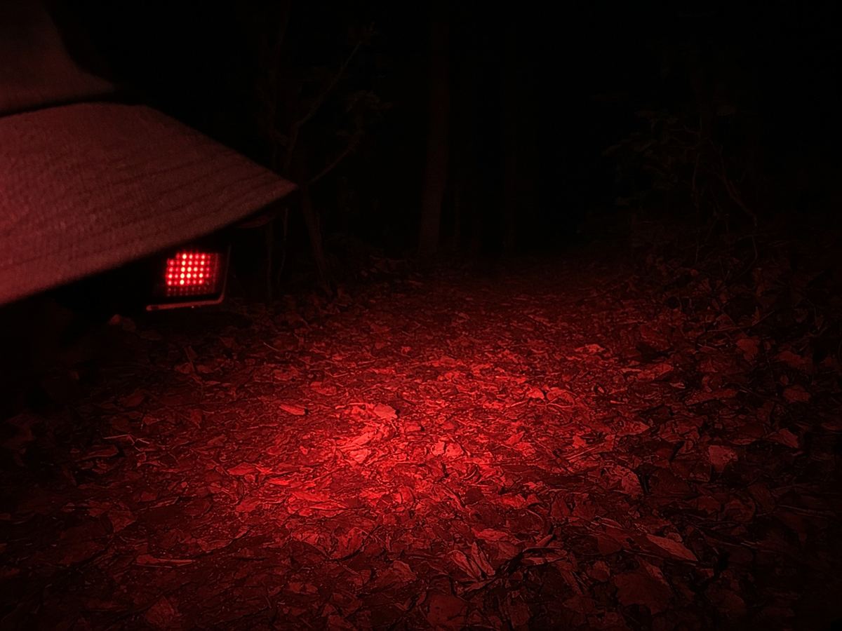 A dim red beam on leaf litter is the hunting lamp. A 1000-lumen sticker is the ad.