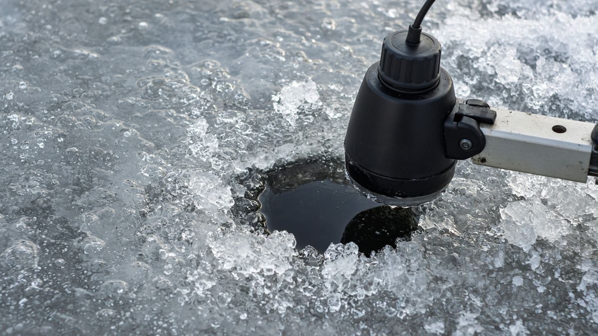 A transducer over a dark hole is the finder. A 12-inch summer graph is the ad.