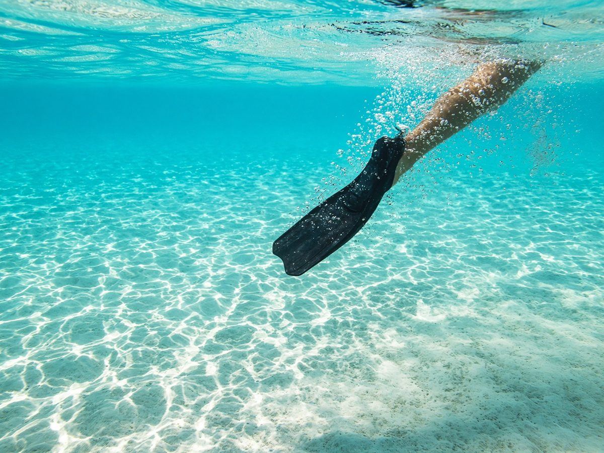 Short blades for the surface. Long scuba fins are a cramp waiting.