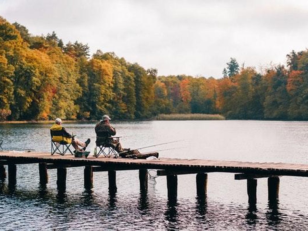 A baitcast rod on a grassy bank, a spinnerbait already tied. Medium-heavy is the blank.
