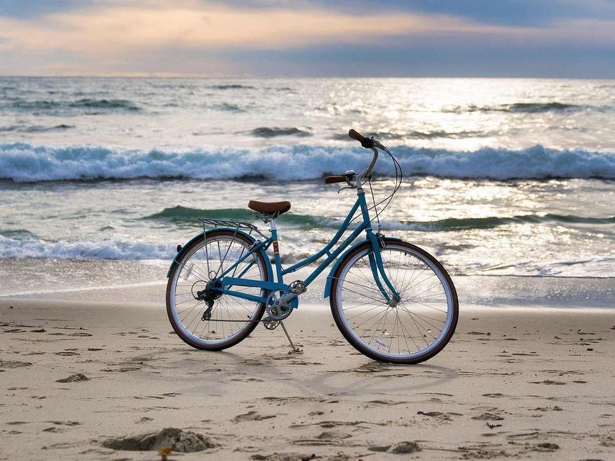 A cruiser on wet sand, fat tires, a rear rack. Stand-over is the first number.