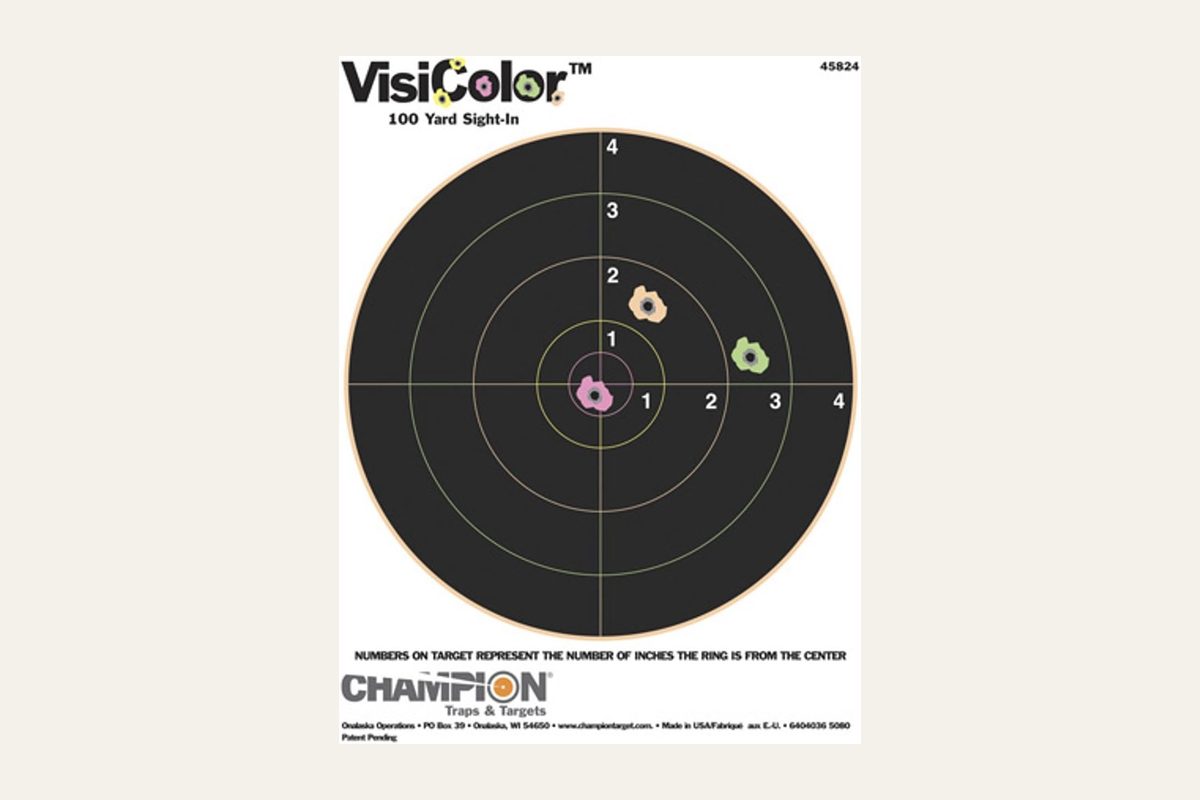 Champion VisiColor paper bullseye targets, part 45824, with no firearm in the frame.