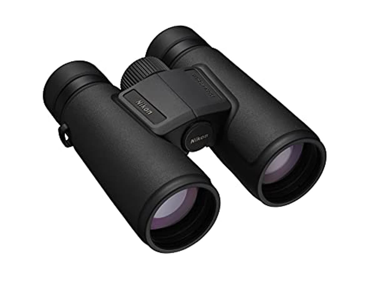Nikon Monarch M5 10x42. ED glass, a close focus, a hunt binocular that is not a 20x zoom dump.