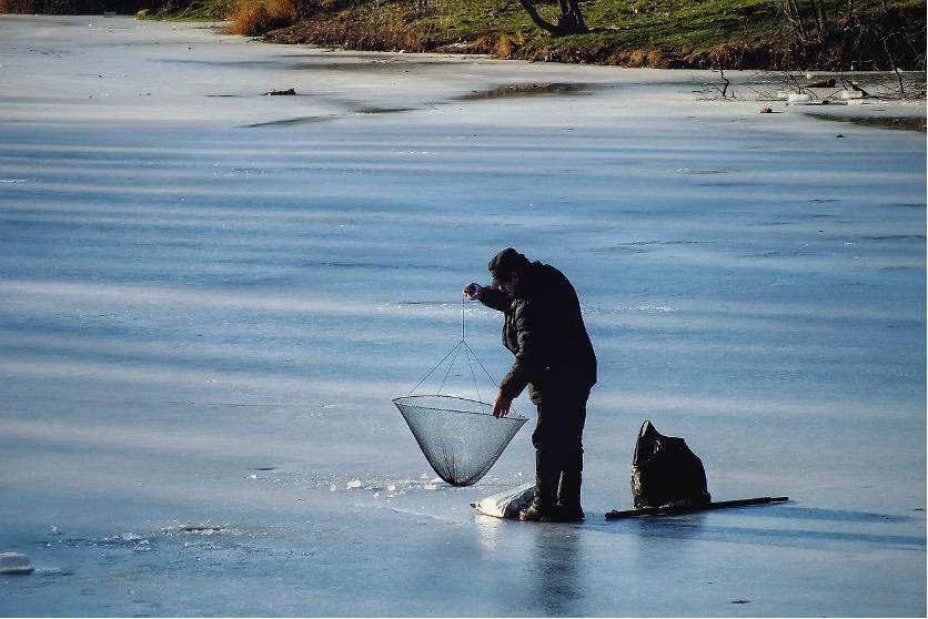 The Top 5 Best Fish to Catch During Winter in North America